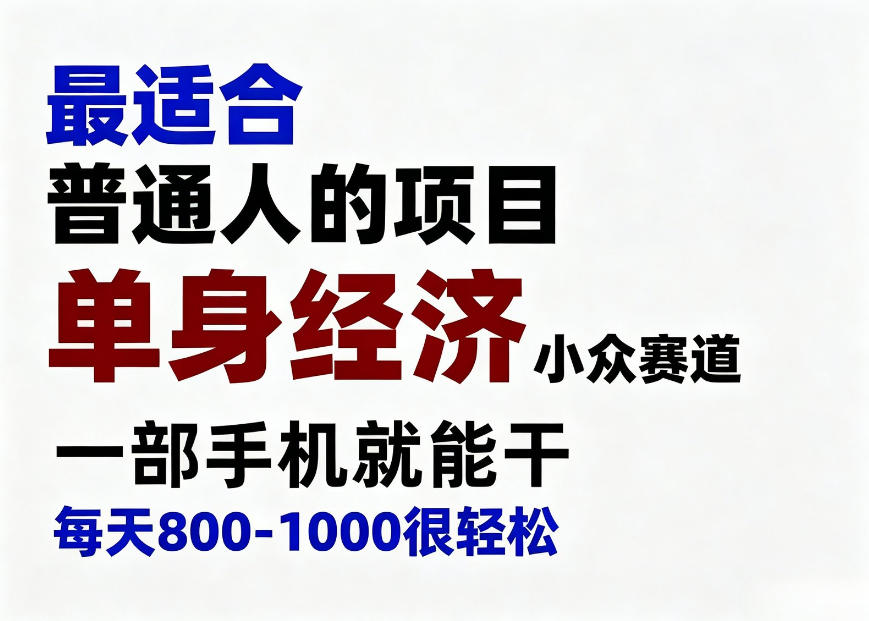 身经济小众赛道,一部手机就能干,每天搞个800-1000很轻松,最适合普通人的项目【揭秘】-泱泱学习社
