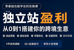 刘老师·5节课跑通独立站盈利全流程-泱泱学习社