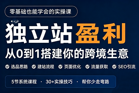 刘老师·5节课跑通独立站盈利全流程-泱泱学习社