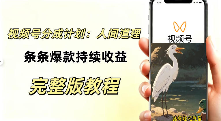 视频号新玩法之AI动漫画风励志视频，不用会画画、不用拍摄，持续化收益，详细拆解-泱泱学习社