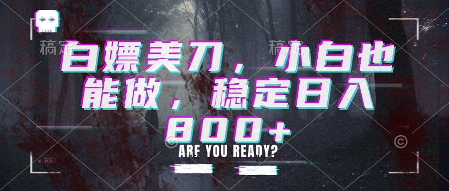 白嫖美刀，小白也能做，稳定日入800+-泱泱学习社