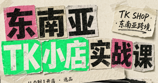 东南亚TK小店实战课(基础+进阶)-泱泱学习社