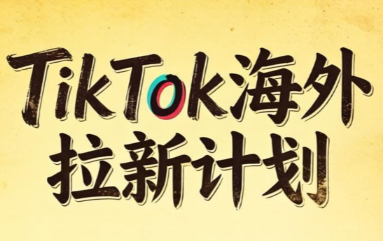 Tc联盟·TikTok海外拉新项目(更新9月)-泱泱学习社