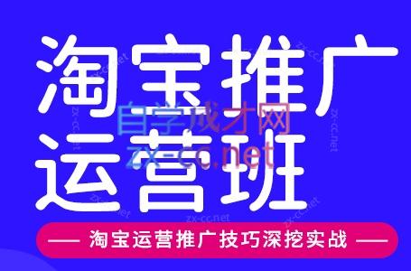 美迪电商·淘宝高级运营班+推广运营班(更新10月)-泱泱学习社
