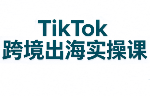 彭老师·TikTok跨境出海实操课-泱泱学习社
