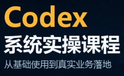 codex系统实操课程(更新10月)-泱泱学习社