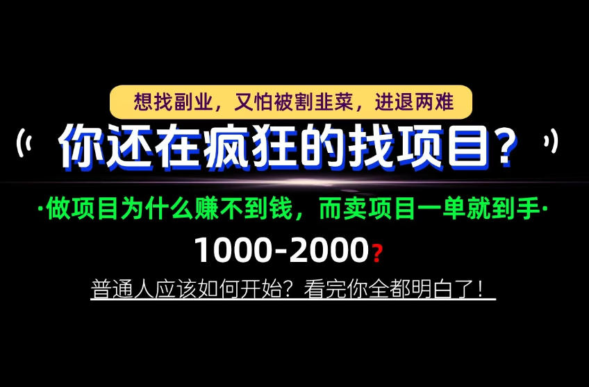 你还在疯狂的找项目？别傻了！卖项目才是真正的一本万利！怎么做，看完你全都明白！【揭秘】-泱泱学习社