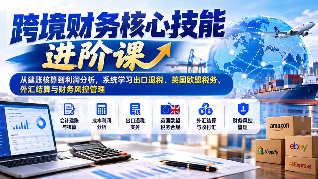 跨境财务核心技能进阶课：从建账核算到利润分析，系统学习出口退税、英国欧盟税务、外汇结算与财务风控管理-泱泱学习社
