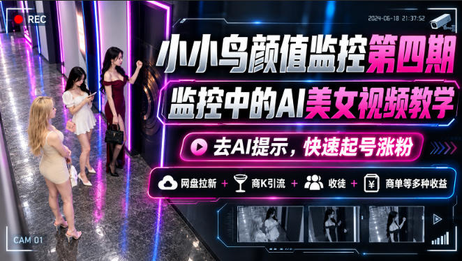 小小鸟颜值监控第四期,监控中的AI美女视频教学,去AI提示,快速起号涨粉,网盘拉新+商K引流+收徒+商单等多种收益-泱泱学习社