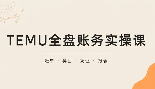 TEMU全盘账务实操课：账单导出、科目设置、利润核算-泱泱学习社