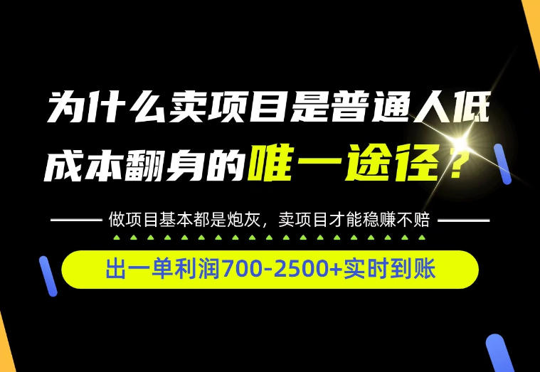 普通人如何靠互联网賺取自己的第一桶金!全类目实操型教学,看完你全都懂了!【揭秘】-泱泱学习社