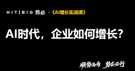 势必·AI增长实战课-泱泱学习社