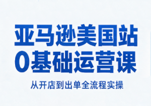 亚马逊美国站0基础运营课-泱泱学习社