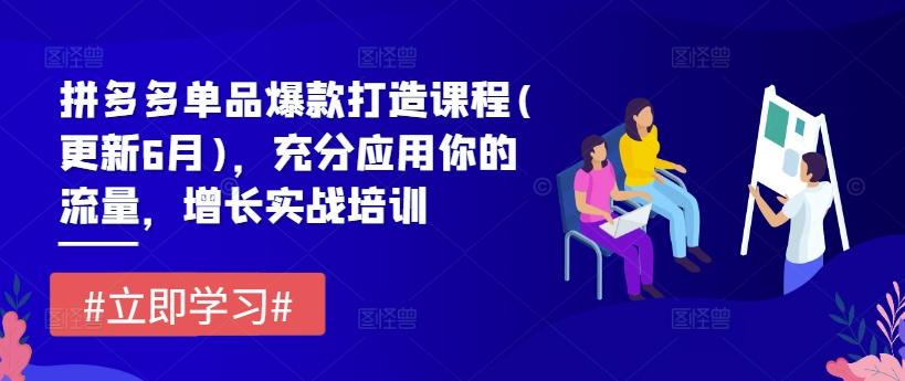 拼多多单品爆款打造课程(更新6月)，充分应用你的流量，增长实战培训-泱泱学习社