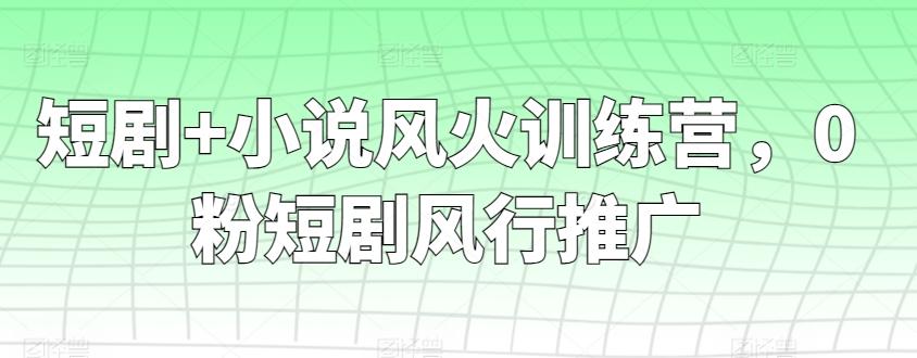短剧+小说风火训练营，0粉短剧风行推广-泱泱学习社