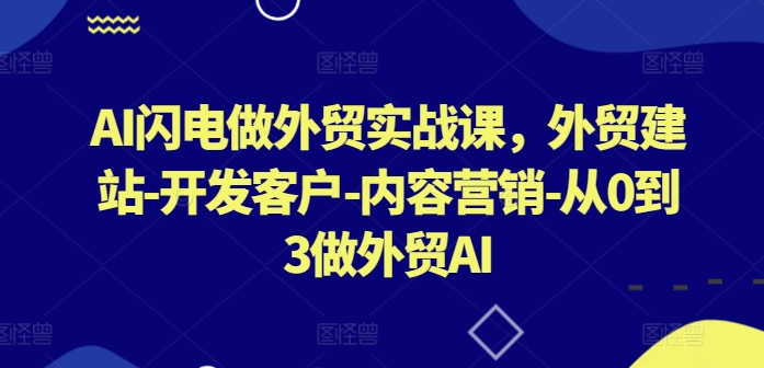 AI闪电做外贸实战课，​外贸建站-开发客户-内容营销-从0到3做外贸AI(更新)-泱泱学习社