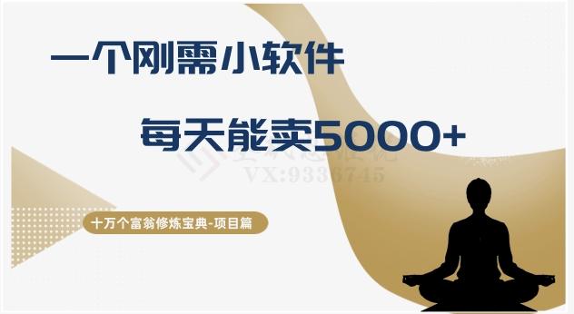 十万个富翁修炼宝典之17.一个刚需小软件，每天能卖5000+-泱泱学习社