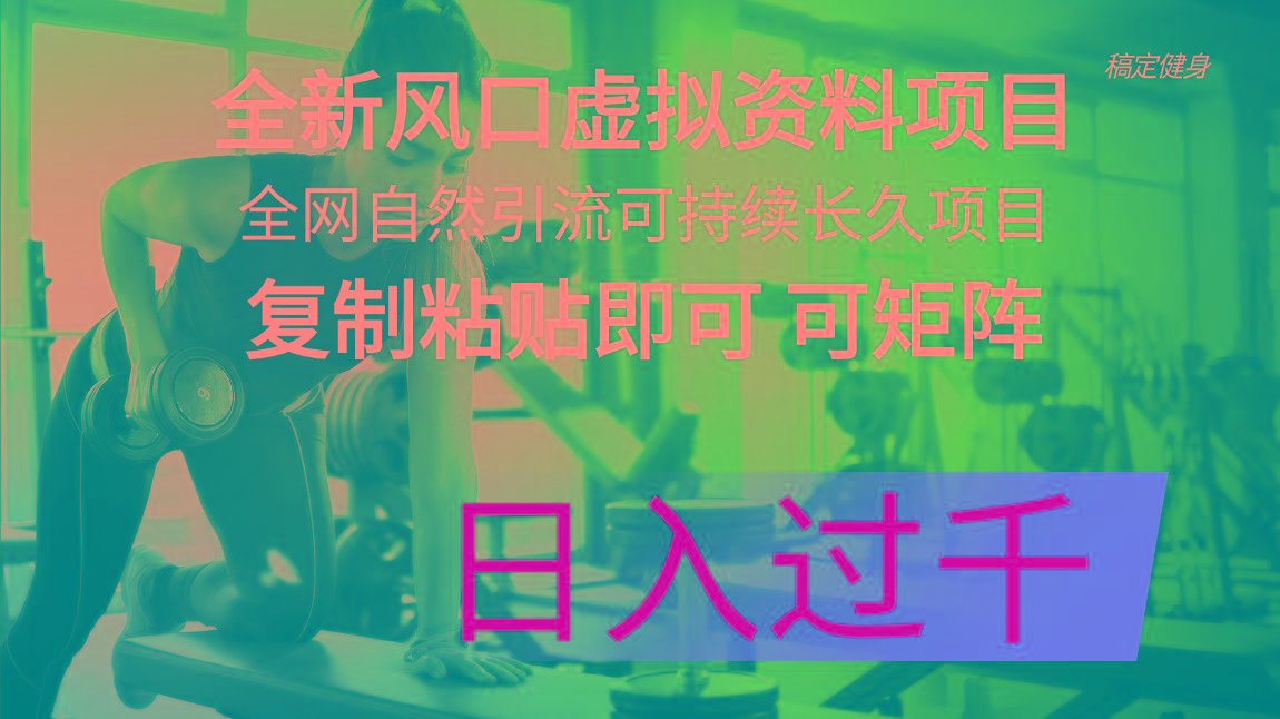 全新风口虚拟资料项目 全网自然引流可持续长久项目 复制粘贴即可可矩阵…-泱泱学习社