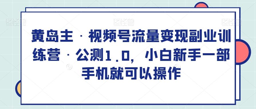 黄岛主·视频号流量变现副业训练营·公测1.0，小白新手一部手机就可以操作-泱泱学习社