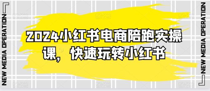 2024小红书电商陪跑实操课，快速玩转小红书，超过20节精细化课程-泱泱学习社