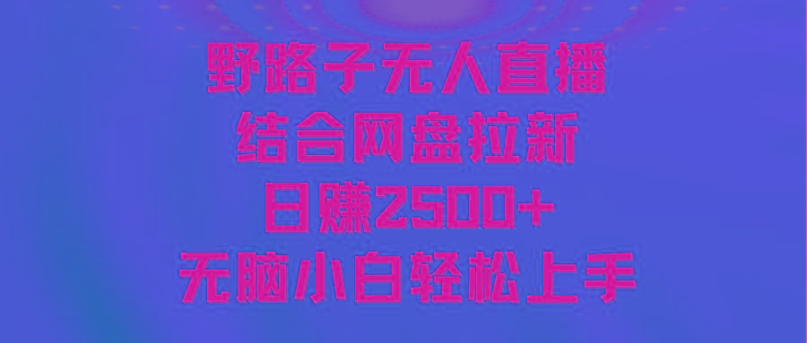 无人直播野路子结合网盘拉新，日赚2500+多平台变现，小白无脑轻松上手操作-泱泱学习社