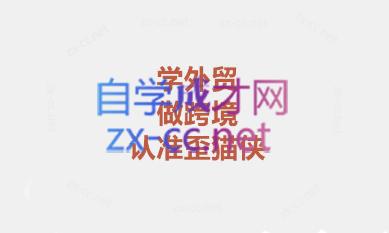琼姐·团队复制+询盘转化+展会实操-泱泱学习社