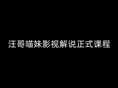 汪哥影视解说正式课程：剪映/PR教学/视解说剪辑5大黄金法则/全流程剪辑7把利器等等-泱泱学习社