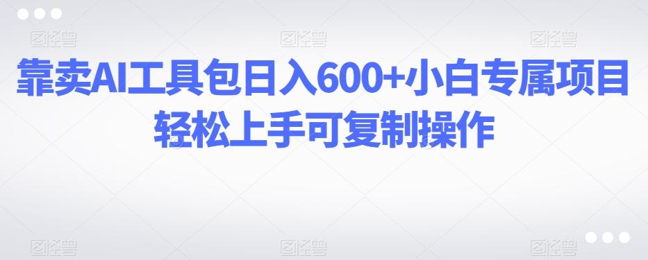 靠卖AI工具包日入600+小白专属项目轻松上手可复制操作-泱泱学习社
