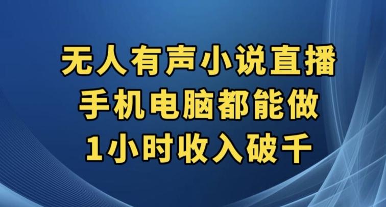 抖音无人有声小说直播，手机电脑都能做，1小时收入破千【揭秘】-泱泱学习社