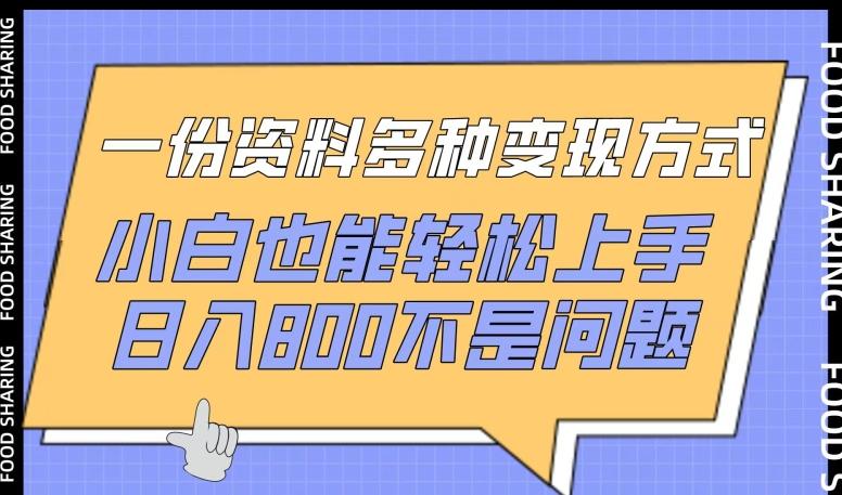 一份资料多种变现方式，小白也能轻松上手，日入800不是问题【揭秘】-泱泱学习社