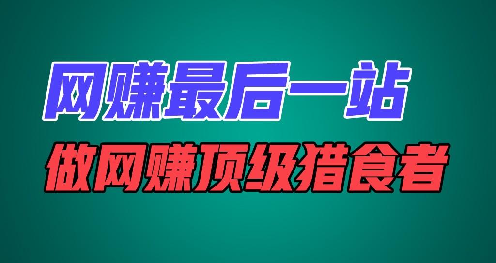 网赚最后一站，卖项目，做网赚顶级猎食者-泱泱学习社
