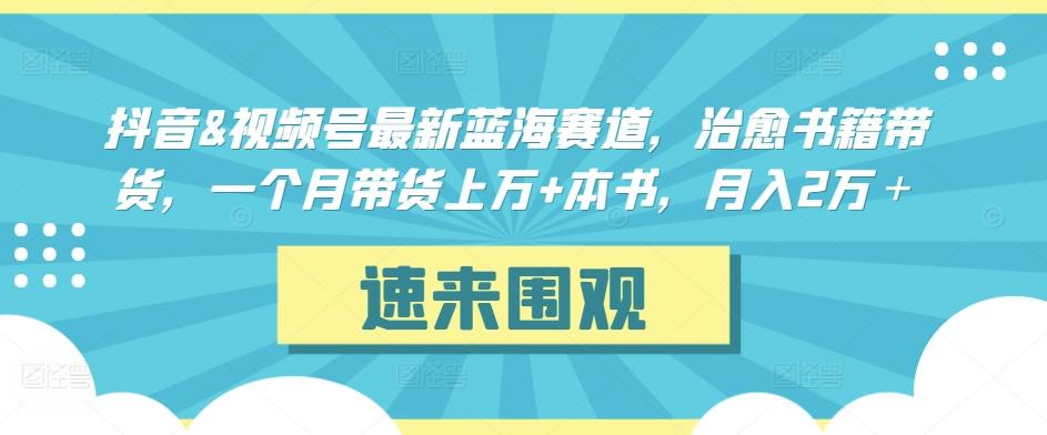 抖音&视频号最新蓝海赛道，治愈书籍带货，一个月带货上万+本书，月入2万＋【揭秘】-泱泱学习社
