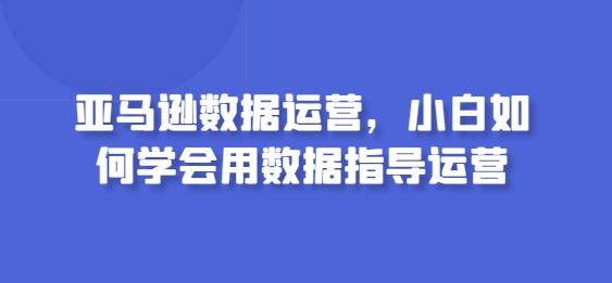 亚马逊数据运营，小白如何学会用数据指导运营-泱泱学习社