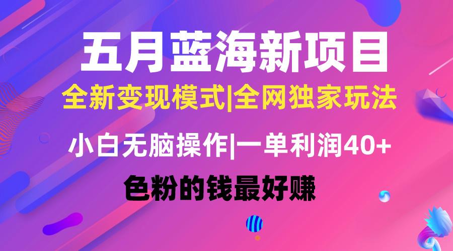 五月蓝海项目全新玩法，小白无脑操作，一天几分钟，矩阵操作，月入4万+-泱泱学习社