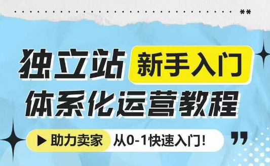 独立站新手入门体系化运营教程，助力独立站卖家从0-1快速入门!-泱泱学习社