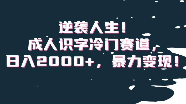 逆袭人生！成人识字冷门赛道，日入2000+，暴力变现！【揭秘】-泱泱学习社
