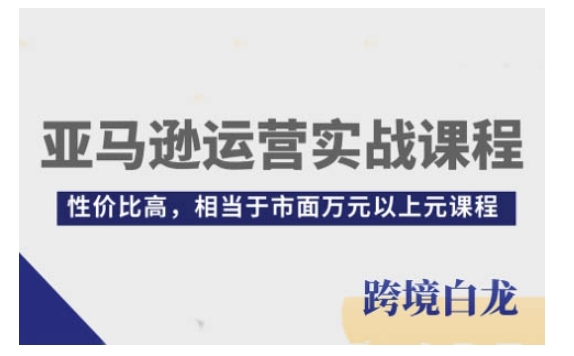 亚马逊运营实战课程，亚马逊从入门到精通，性价比高，相当于市面万元以上元课程-泱泱学习社