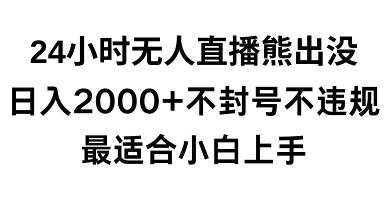 快手24小时无人直播熊出没，不封直播间，不违规，日入2000+，最适合小白上手，保姆式教学【揭秘】-泱泱学习社