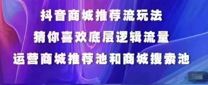 抖音商城运营课程，猜你喜欢入池商城搜索商城推荐人群标签覆盖-泱泱学习社