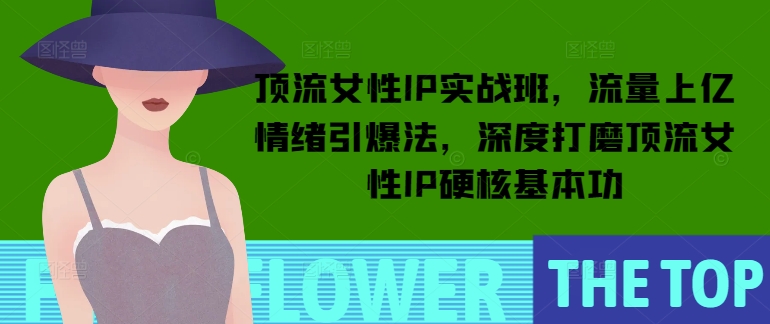 顶流女性IP实战班，流量上亿情绪引爆法，深度打磨顶流女性IP硬核基本功-泱泱学习社