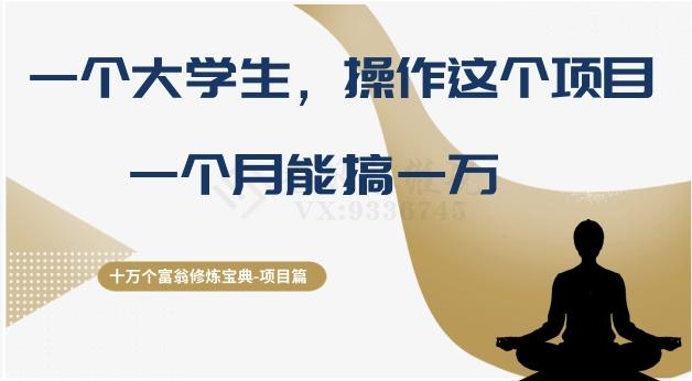 十万个富翁修炼宝典之4.一个大学生操作这个项目，一个月能搞一万-泱泱学习社
