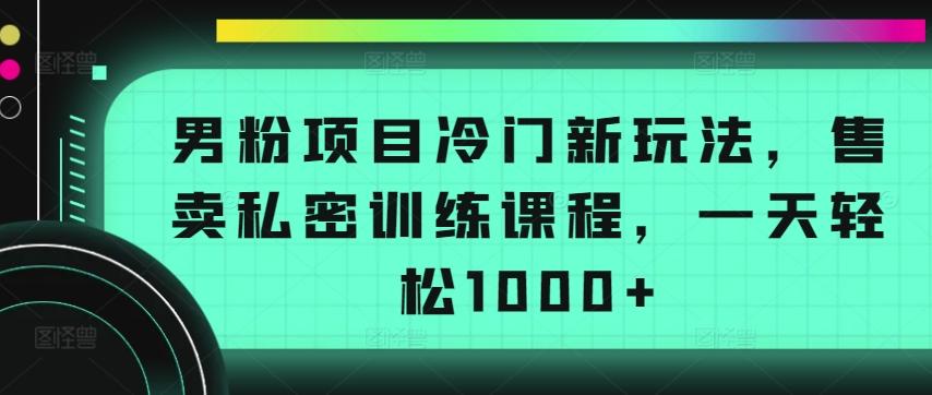 男粉项目冷门新玩法，售卖私密训练课程，一天轻松1000+【揭秘】-泱泱学习社