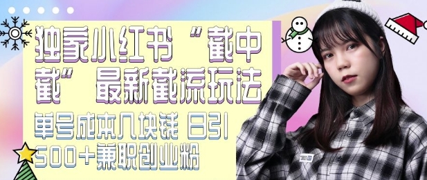 最新小红书截流玩法 独家截中截 单号成本几块钱 日引500+CY粉JZ粉-泱泱学习社