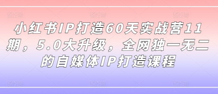 小红书IP打造60天实战营11期，5.0大升级，全网独一无二的自媒体IP打造课程-泱泱学习社