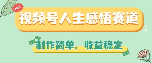视频号人生感悟赛道，制作简单，收益稳定【揭秘】-泱泱学习社