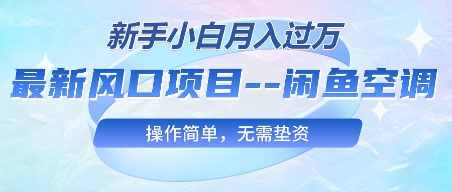 最新风口项目—闲鱼空调，新手小白月入过万，操作简单，无需垫资-泱泱学习社