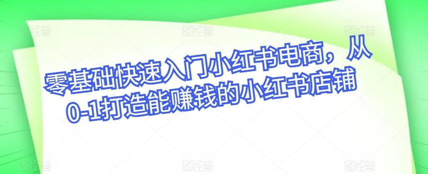 零基础快速入门小红书电商，从0-1打造能赚钱的小红书店铺-泱泱学习社