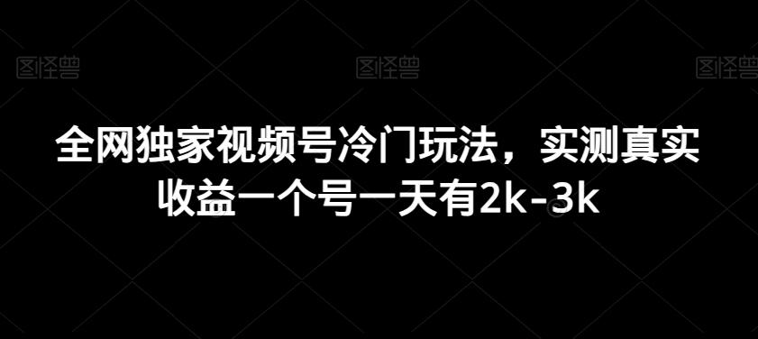 全网独家视频号冷门玩法，实测真实收益一个号一天有2k-3k-泱泱学习社