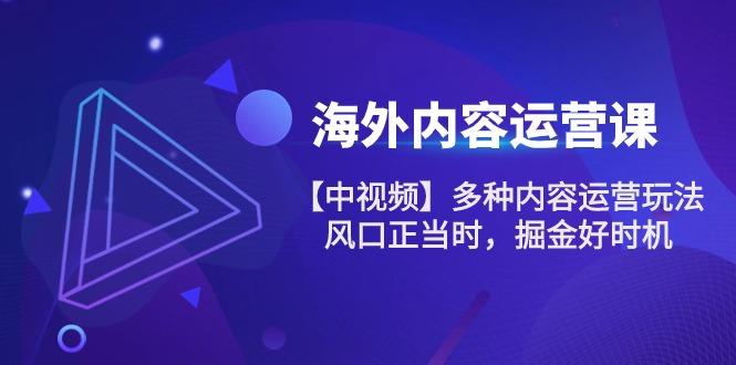 海外内容 运营课【中视频】多种内容运营玩法 风口正当时 掘金好时机-101节-泱泱学习社
