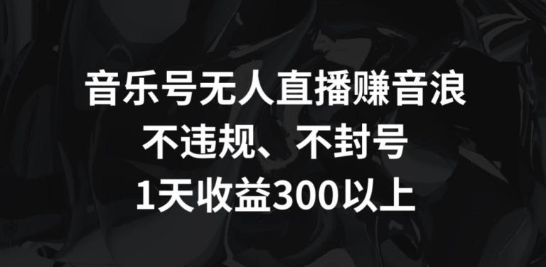 音乐号无人直播赚音浪，不违规、不封号，1天收益300+【揭秘】-泱泱学习社